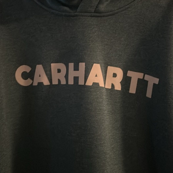 CARHARTT RELAXED FIT MID WEIGHT LOGO HOODIE: GREEN: NEW WITH TAGS: SIZE 1X - Picture 2 of 8